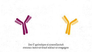 T-cell-engager